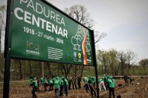 SILVICULTORI DIN ROMÂNIA ȘI REPUBLICA MOLDOVA AU MARCAT CENTENARUL MARII UNIRI PRIN PLANTAREA UNEI PĂDURI MEMORIALE PE MALURILE PRUTULUI