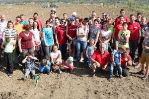 FOTO: „Familia Fomco”, la plantat de tei în Sângeorgiu de Mureş