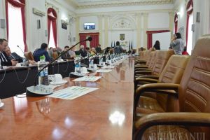 Bihorul are o opoziţie debilă