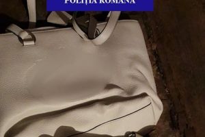 Sibieni reţinuţi pentru furtul unor poşete de 160.000 de euro