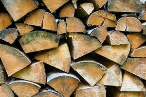 Lemn confiscat şi amenzi usturătoare, pentru doi bărbaţi care au încălcat legislaţia silvică