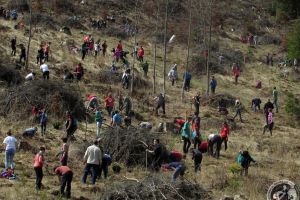 Campania de reîmpădurire „Hai la înverzit”, la a opta ediţie