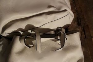 Sute de posete de lux, sustrase de la o societate comerciala