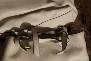 Percheziţii în Bihor, Cluj şi alte 3 judeţe, la o gaşcă de hoţi. Au furat sute de poşete de lux, în valoare de poeste 160.000 euro