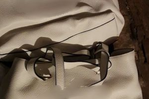 Au FURAT sute de POȘETE de LUX. Prejudiciul este de peste 160.000 de euro