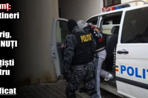Neamţ: Doi tineri din Pipirig, reţinuţi de poliţişti pentru furt calificat