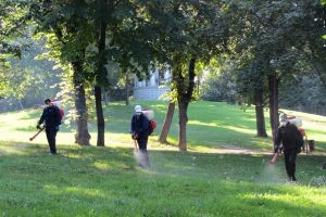 Începe prima etapă a dezinsecţiei pe domeniul public din acest an