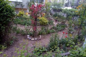 RAADPFL Craiova premiază cea mai frumoasă grădină din faţa blocului