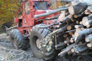 Amendă de 5000 de lei pentru un transport ilicit de material lemnos