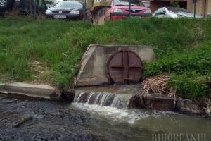 Poluare pe Peţa: Resturi menajere, deversate în pârâu, în zona Nufărul (VIDEO)