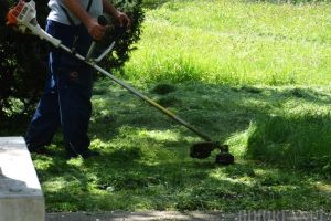 ADP Oradea caută muncitori necalificaţi pentru curăţenie