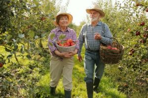 Vot la Bruxelles: Stimulente de pensionare pentru fermierii în vârstă, subvenţii suplimentare pentru cei tineri!