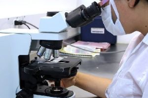 Colaborare între cercetătorii Universităţii Sapienţia şi UMF Târgu-Mureş. Experimente de succes pentru tratamentul eficient al malariei