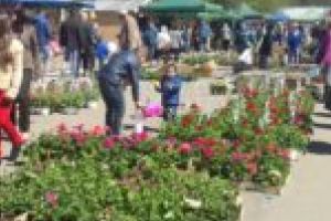 100 % natural! La sfârşit de săptămână, toate drumurile duc la Oţelu Roşu! La Târgul Primăverii Văii Bistrei!