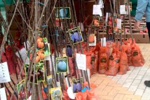 Producători din Ciumbrud, pentru a 15-a oară la Simfonia Lalelelor