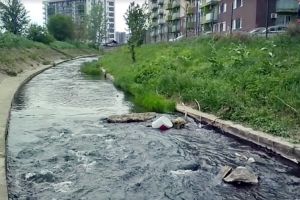 Garda de Mediu: Poluarea de pe Peţa a fost provocată de o firmă de construcţii