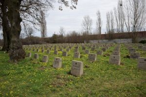 FOTO. Deţinuţii au fost scoşi la muncă. Au făcut curăţenie în Cimitirul Eroilor