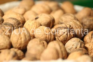 Nucile sunt unele dintre cele mai sanatoase fructe oleaginoase din lume