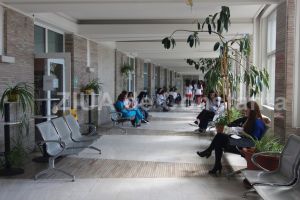 Cat incaseaza un medic primar de la ATI din martie:  Catalin Grasa, managerul Spitalului Judetean Constanta, declaratii privind salariile angajatilor