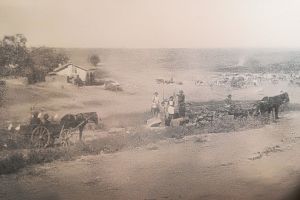 #citesteDobrogea: Invatamantul nostru nu stabileste uneori suficient corelatia dintre cunostintele teoretice si realitatea intuita.“ Lucrari din Biblioteca Virtuala ZIUA de Constanta