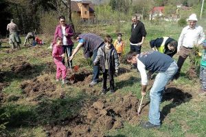 Campanie de împădurire marca Lions Clubs la Mănăstirea Caşin