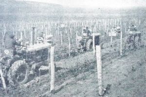 Răsfoind presa de altădată… (26): Vremea când cânepa nu era deloc haşiş