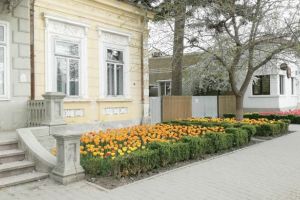 Cel mai frumos anotimp: Huşi, feeria lalelelor!