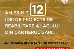 Proiectele de reabilitare a lacului de agrement din Sfântu Gheorghe, supuse dezbaterii publice