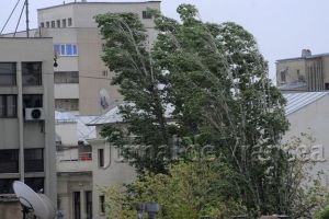 COD GALBEN de vânt puternic în judeţul Vrancea până după-amiază