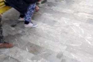 Spargatorii de seminte din Parcul Tabacarie din Constanta, buni de plata. Au fost sanctionati de politistii locali