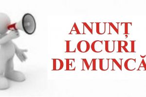 ANUNȚ LOCURI DE MUNCĂ