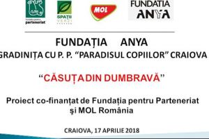 Fundatia Anya continua proiectele comunitare