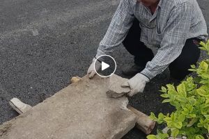 Video INCREDIBIL! „Aradul e în faţă”, dar în EPOCA DE PIATRĂ