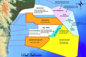 Profit.ro Statele Unite ar putea oferi asistenta statului roman pentru reglementarea operatiunilor petroliere offshore din Marea Neagra