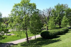 Scene de SEX pe FALEZĂ! „Oribil! Ce face Poliţia?” (FOTO)