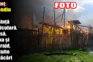 Neamţ: Incendiu la o locuinţă particulară. O casă, anexa şi un grajd, mistuite de flăcări