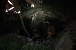 Cal salvat de pompieri, dupa ce a cazut intr-un bazin plin cu apa, la Jimbolia