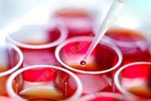 O GRAVIDĂ INFORMATĂ: Adevărul despre celulele stem