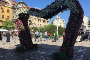 Printese cu calesti, Masina timpului, Pomul Breslelor, o pedalare si alte surprize la Timfloralis