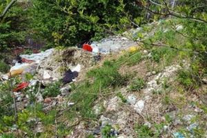 În centru – Simfonia Lalelelor, în Războieni – „simfonia” gunoaielor