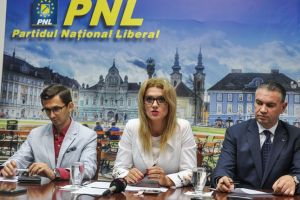 Gorghiu: PSD merge pe sistemul tortului din care iese iepurasul la 12 noaptea, cu abuzul in serviciu