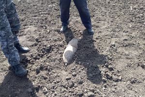 Bombă brizantă de 100 de kilograme, distrusă la Munteni