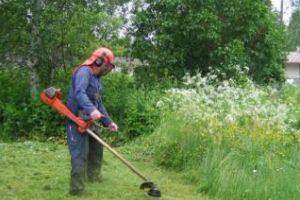 Boc ameninţă Garden Center Group cu rezilierea contractului pentru că nu îngrijesc cum trebuie spaţiile verzi