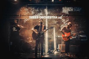 TREES orchestra si Roots Revival concerteaza la Refugee Art Festival