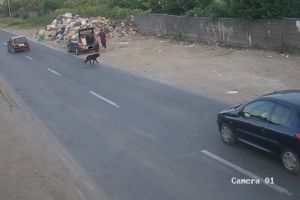 Nu se tem nici de Big Brother. Oamenii arunca gunoaie pe strazile Timisoarei, direct din masini