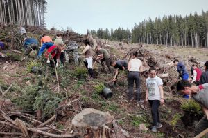 Elevii Liceului Tehnologic „Venczel Jozsef” din Miercurea Ciuc, au plantat puieţi de molid