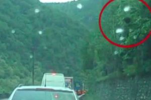 Pericol pe Valea Oltului. Ce a păţit un şofer 