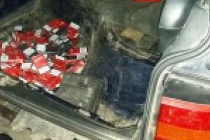 Tigari de contrabanda descoperite la frontiera de est