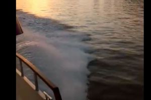 Tulcea. Nenorocire in delta. O barca s-a rasturnat. Erau trei barbati in ea. Salvatorii cauta (video) 