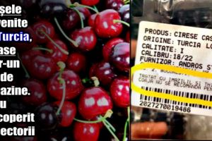 Cireşele provenite din Turcia, retrase dintr-un lanţ de supermarketuri. Ce au descoperit inspectorii